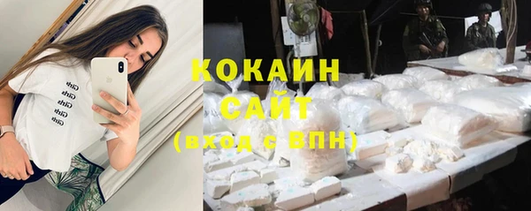 индика Заволжск