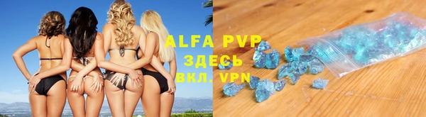 индика Заволжск