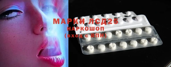 индика Заволжск