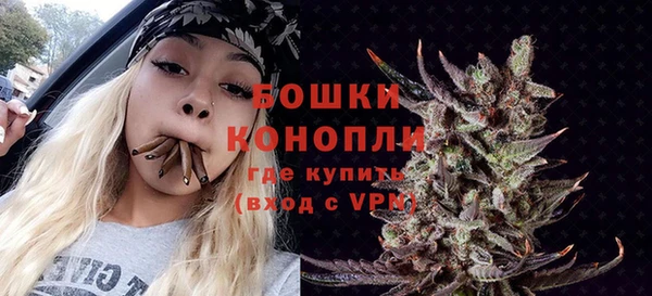 индика Заволжск