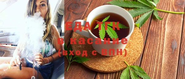 индика Заволжск