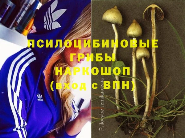 прущая мука Заводоуковск