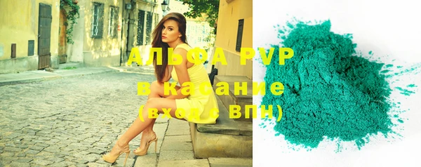 индика Заволжск