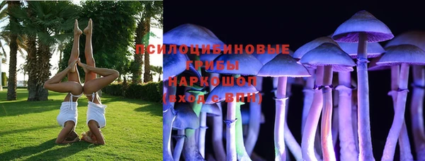 индика Заволжск